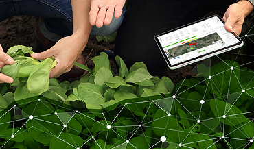 Precision Farming